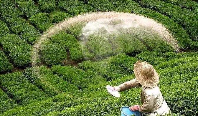 ���N���ϵķ�Ч�ڶ��