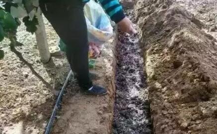 ���ʩ�ʺ�̎�������@Щ�׶˲��ݺ�ҕ��