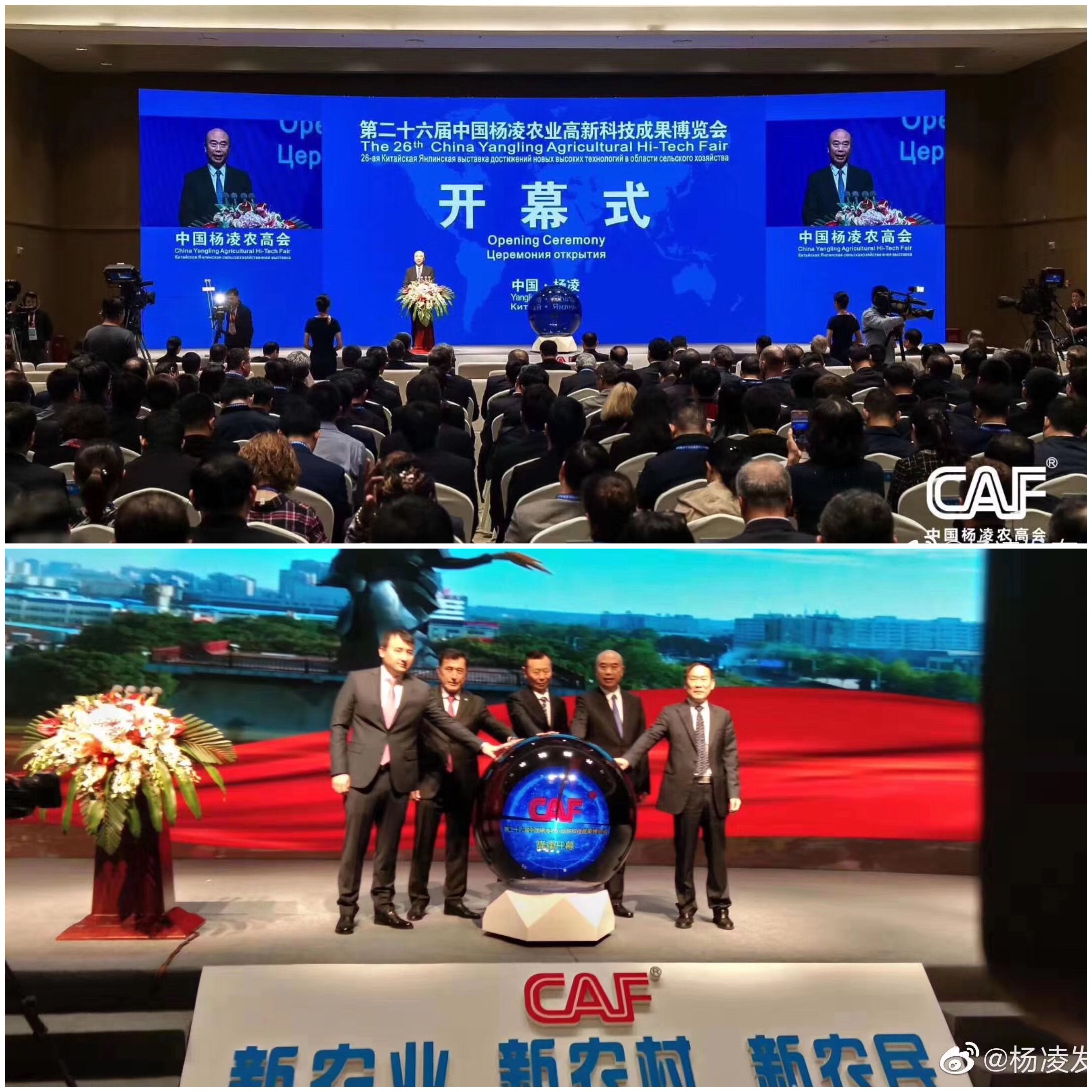 2019�����r�ߕ����Ϻ��G���gӭ���ĵ�����