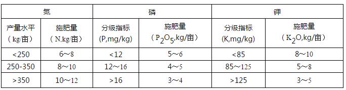�����2020�껨�� �y���䷽ʩ�ʼ��gָ����Ҋ