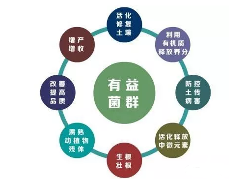 ���r(n��ng)���⯂�������һ��(g��)�¶����L�������?zh��n)׾����u�S��