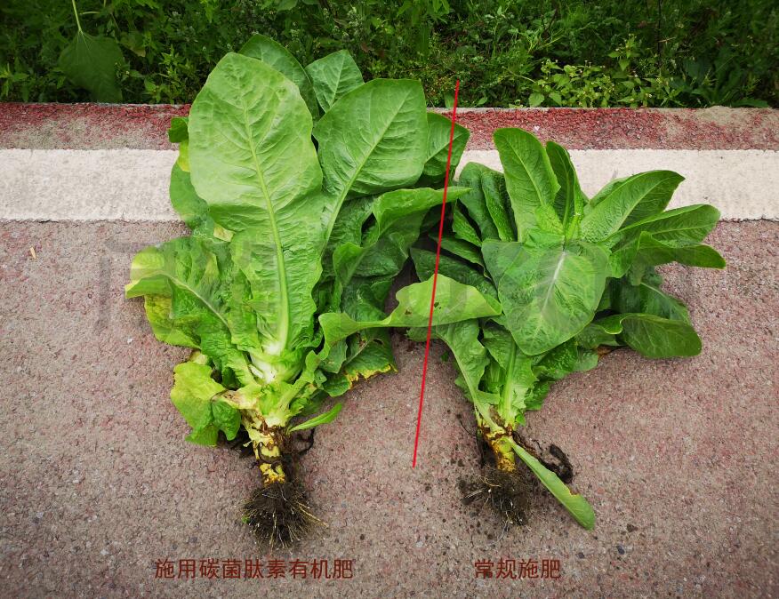 ��(f��)��΢������m������Щ����÷������Լ�ע�����(xi��ng)
