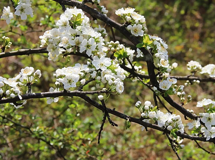 ��䡢�Ә����·ݹ���Ҫע��ʲô��