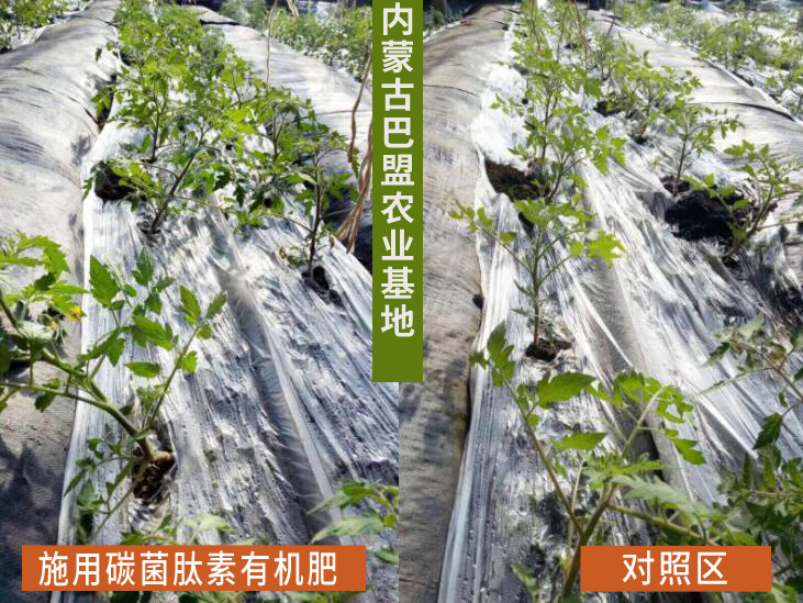 ���t���������u�S�������������r(n��ng)�I(y��)�r(n��ng)�岿���S����ЙC������Ҫ��