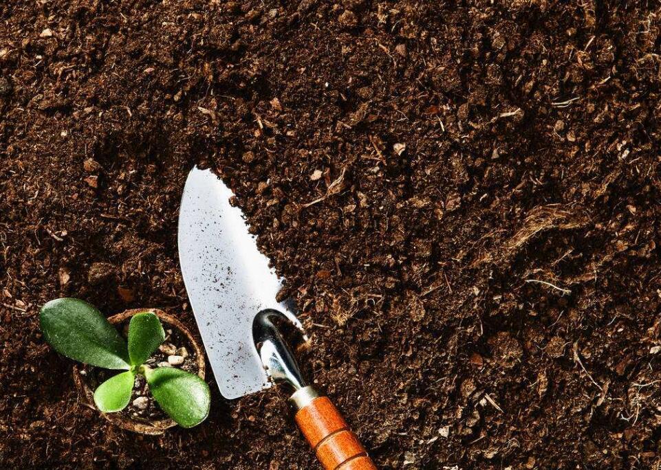 ����x���V������ʏS�ң�